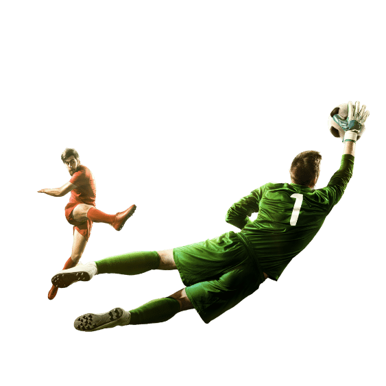 产品介绍-世界杯买球